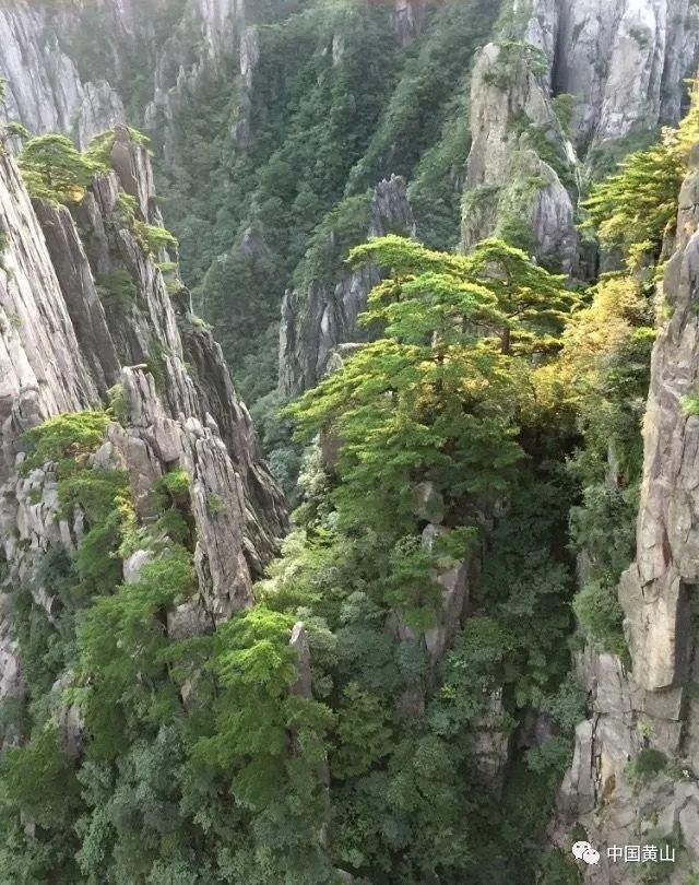 瑜伽裤健身小姐姐美图